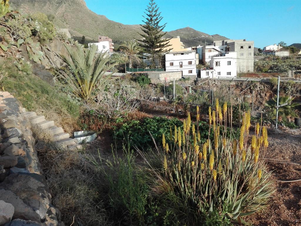 Finca Patio Canario Arona  Zewnętrze zdjęcie